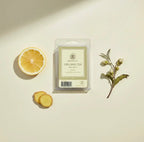 Wax Melts