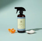 Multi-Surface Cleaner