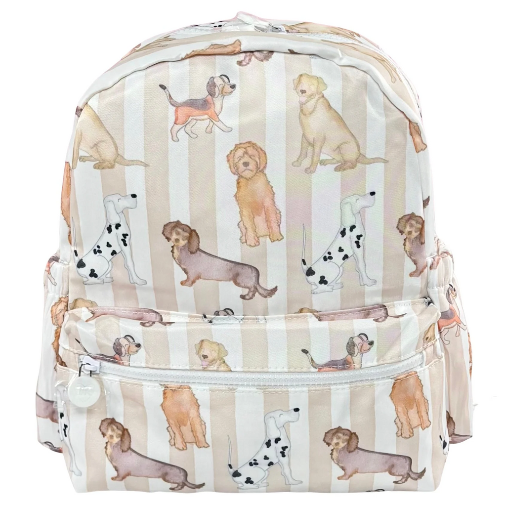 Nylon Backpack